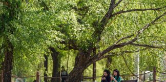 Cina: Dongcun rilancia l’economia locale con il turismo rurale (2)