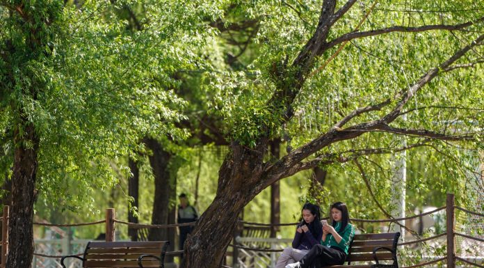 Cina: Dongcun rilancia l’economia locale con il turismo rurale (2)
