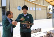 Cina: Dongcun rilancia l’economia locale con il turismo rurale (3)