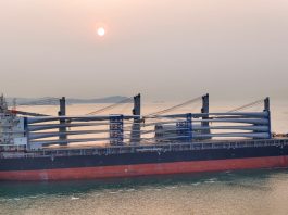 Cina: componenti per l’energia eolica esportati in Austria (2)