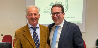 Marco Bussone eletto nuovo Presidente di AIEL – Associazione italiana energie agroforestali