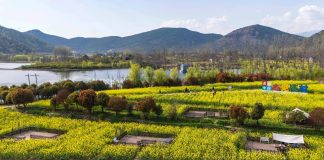 Cina: ad Hanzhong 15 itinerari turistici a tema floreale tra gastronomia e cultura (1)