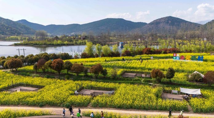 Cina: ad Hanzhong 15 itinerari turistici a tema floreale tra gastronomia e cultura (1)