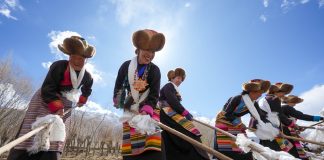 Cina: Xizang, Gaiba celebra inizio di lavori agricoli primaverili (1)