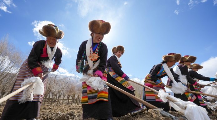 Cina: Xizang, Gaiba celebra inizio di lavori agricoli primaverili (1)