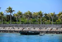 Cina: isola di Zhaoshu diventa oasi verde grazie a tutela ecologica (1)