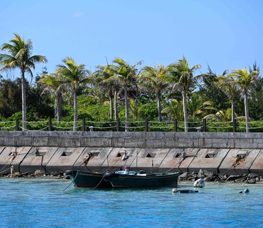 Cina: isola di Zhaoshu diventa oasi verde grazie a tutela ecologica (1)