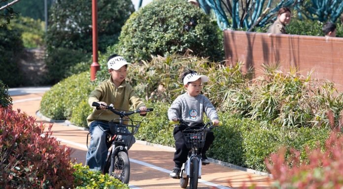 Cina: Hefei si è rinnovata seguendo le esigenze dei cittadini (1)