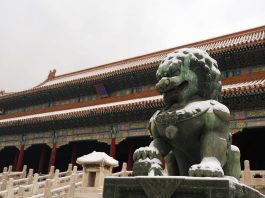 Cina: a Pechino una nevicata primaverile imbianca la città (2)