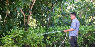 Cina: l’isola di Zhaoshu diventa un’oasi verde grazie alla tutela ecologica (2)