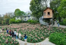 Cina: Chongqing, turismo rurale in crescita nel villaggio di Jiti (1)