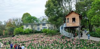 Cina: Chongqing, turismo rurale in crescita nel villaggio di Jiti (1)