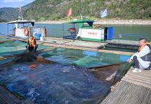 Cina: base Dazhou tutela oltre 20 specie ittiche rare e commerciali (1)