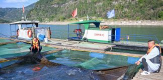 Cina: base Dazhou tutela oltre 20 specie ittiche rare e commerciali (1)