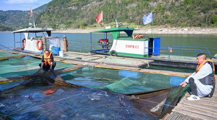 Cina: base Dazhou tutela oltre 20 specie ittiche rare e commerciali (1)