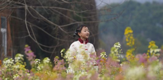 Cina: a Nanchang i turisti accorrono per la fioritura (1)