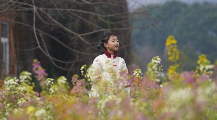 Cina: a Nanchang i turisti accorrono per la fioritura (1)