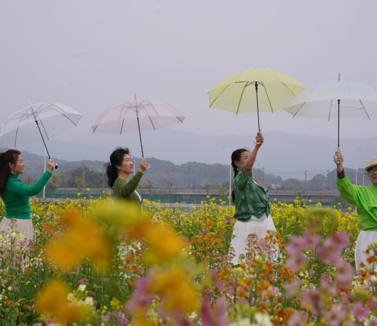Cina: a Nanchang i turisti accorrono per la fioritura (2)