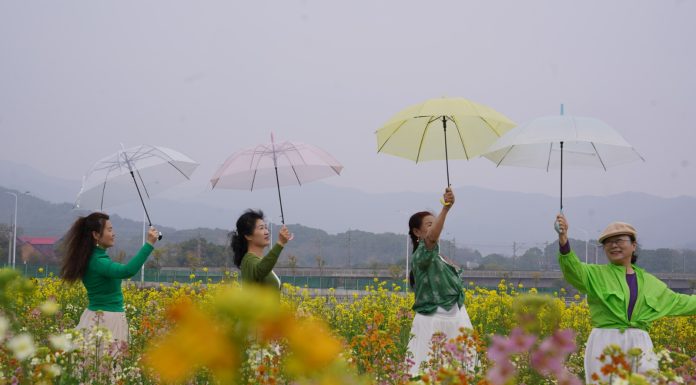 Cina: a Nanchang i turisti accorrono per la fioritura (2)