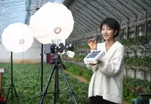 Cina: e-commerce registra crescita costante nei primi due mesi