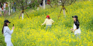 Cina: Chongqing, turismo rurale in crescita nel villaggio di Jiti (2)