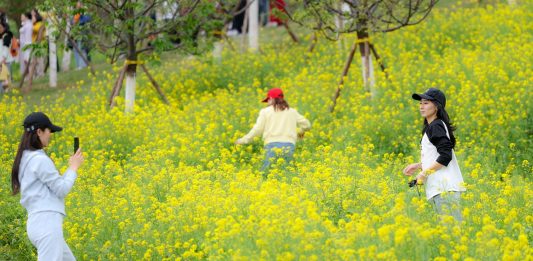 Cina: Chongqing, turismo rurale in crescita nel villaggio di Jiti (2)