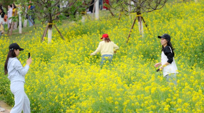 Cina: Chongqing, turismo rurale in crescita nel villaggio di Jiti (2)