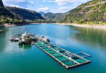 Cina: base Dazhou tutela oltre 20 specie ittiche rare e commerciali (2)