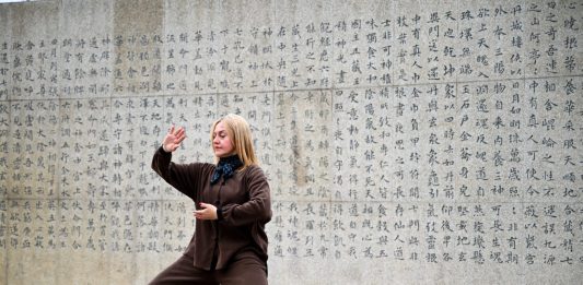 Cina: Henan, cittadini stranieri si allenano nel Taijiquan (2)