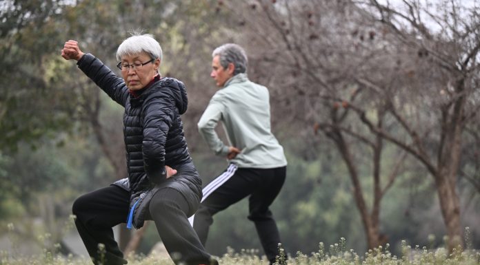 Cina: Henan, cittadini stranieri si allenano nel Taijiquan (3)