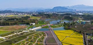 Cina: fioritura primaverile attira turisti nello Zhejiang (2)