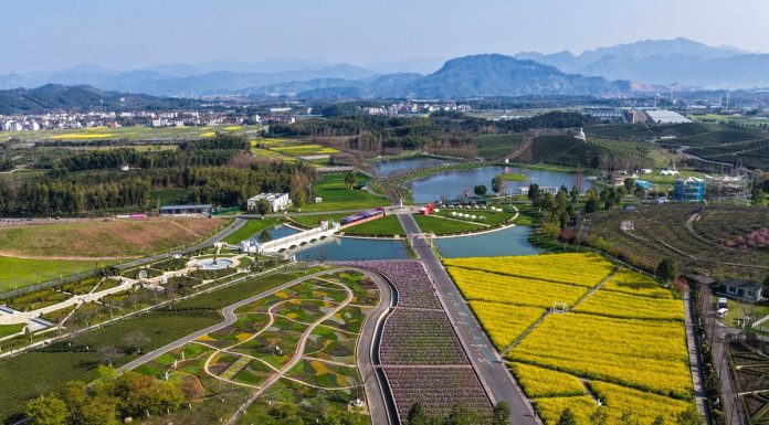 Cina: fioritura primaverile attira turisti nello Zhejiang (2)