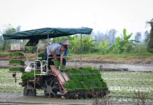 Cina: a Taishan l’agricoltura diventa “intelligente” (1)