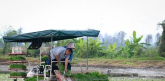 Cina: a Taishan l’agricoltura diventa “intelligente” (1)