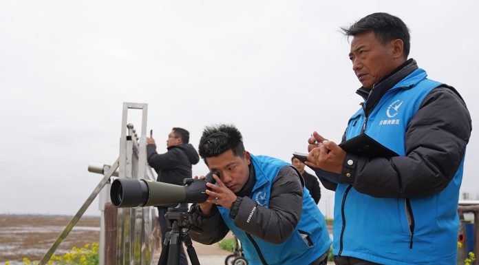 Cina: Jiangxi, sistema di compensazioni ai contadini favorisce la tutela degli uccelli migratori (1)