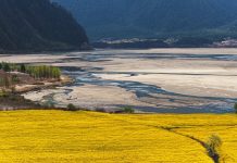 Cina: Xizang, fiori di colza e di pesco in piena fioritura (1)