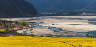 Cina: Xizang, fiori di colza e di pesco in piena fioritura (1)