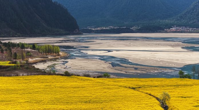 Cina: Xizang, fiori di colza e di pesco in piena fioritura (1)