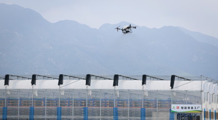 Cina: a Taishan l’agricoltura diventa “intelligente” (2)