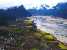 Cina: Xizang, fiori di colza e di pesco in piena fioritura (2)