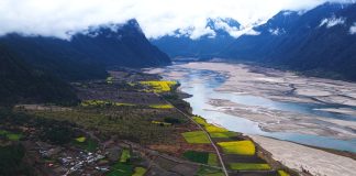 Cina: Xizang, fiori di colza e di pesco in piena fioritura (2)