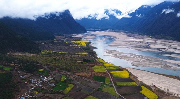 Cina: Xizang, fiori di colza e di pesco in piena fioritura (2)