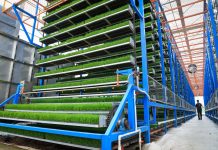 Cina: a Taishan l’agricoltura diventa “intelligente” (3)