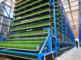 Cina: a Taishan l’agricoltura diventa “intelligente” (3)