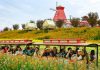 Cina: ad Hanzhong 15 itinerari turistici a tema floreale tra gastronomia e cultura (2)