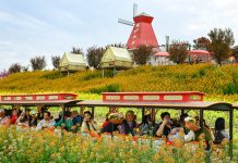 Cina: ad Hanzhong 15 itinerari turistici a tema floreale tra gastronomia e cultura (2)