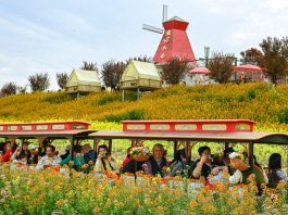 Cina: ad Hanzhong 15 itinerari turistici a tema floreale tra gastronomia e cultura (2)