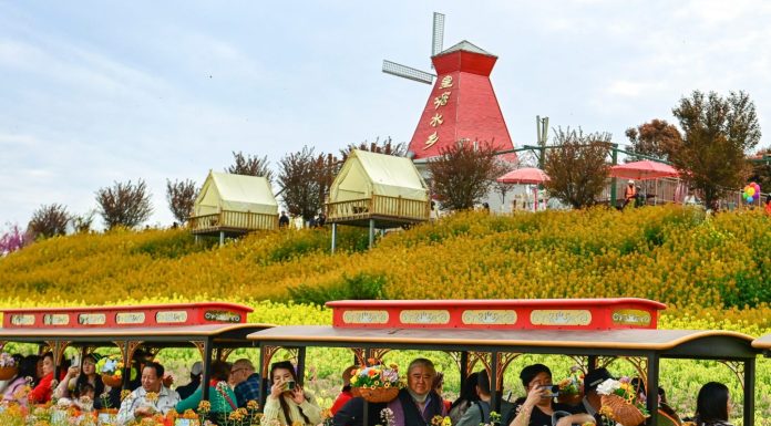 Cina: ad Hanzhong 15 itinerari turistici a tema floreale tra gastronomia e cultura (2)