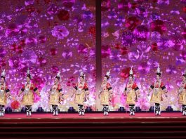 Cina: eventi in tutto il Paese per la Giornata internazionale della donna (4)