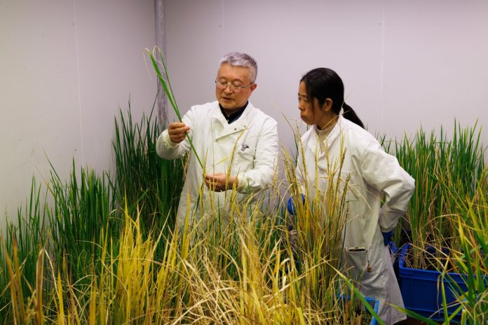 ea89c19e-3521-458f-81ba-bc1f180ec10c